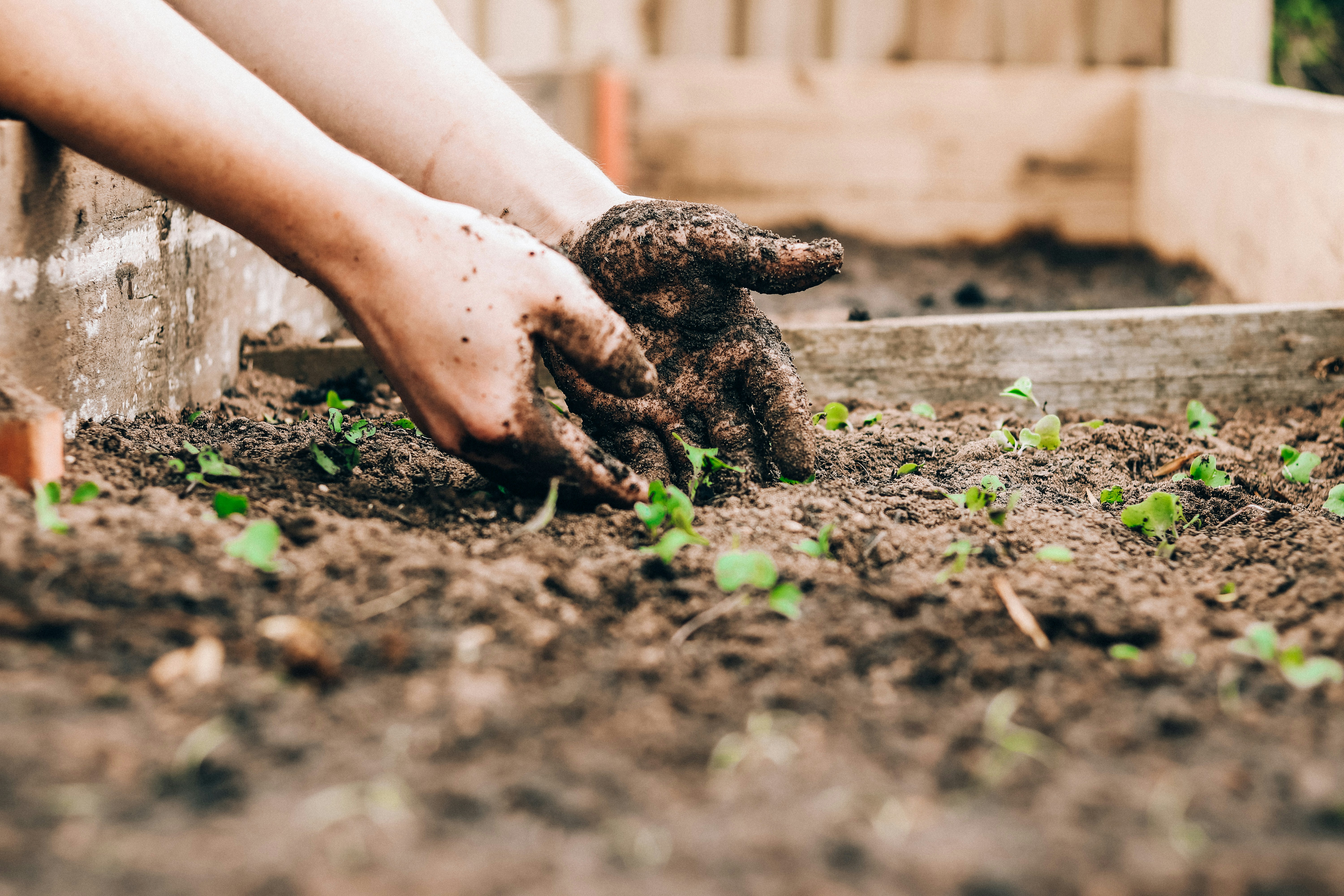 Gardening Work