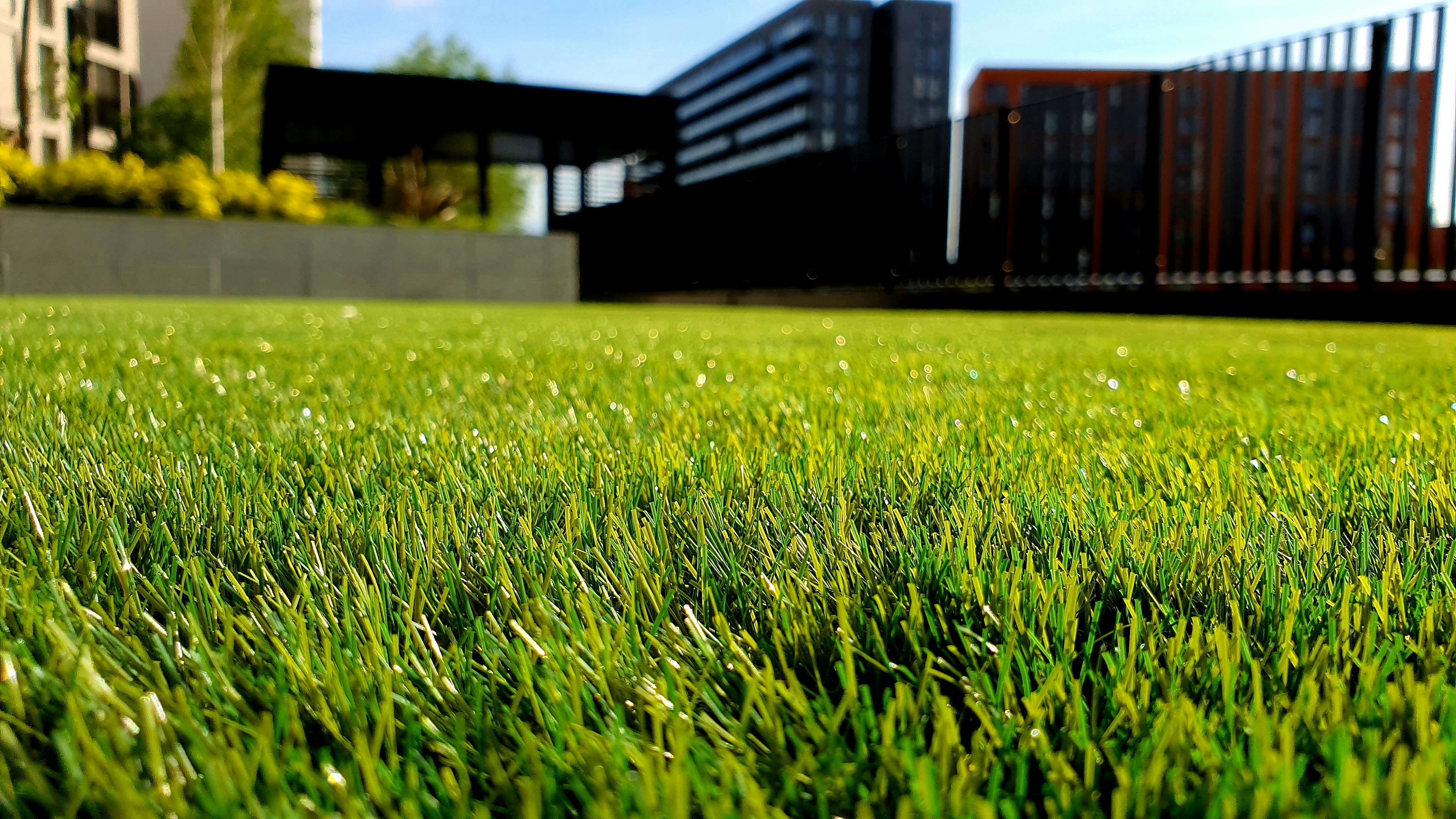 Lawn Installation